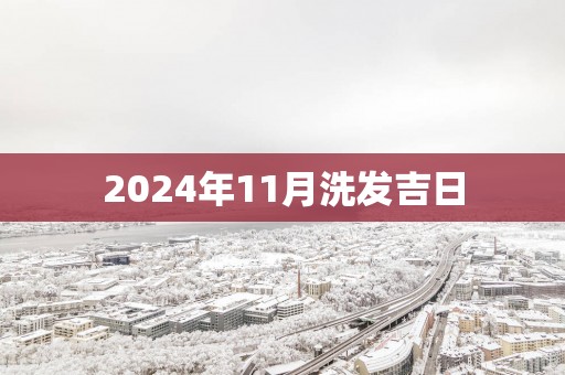 2025年11月洗发吉日