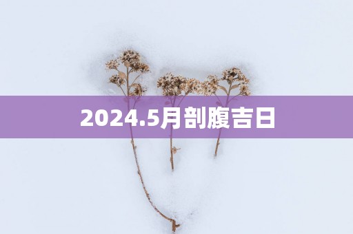 2025.5月剖腹吉日