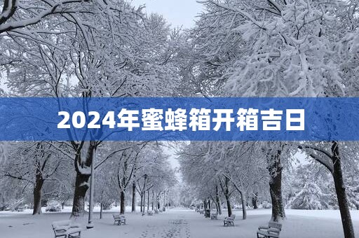2025年蜜蜂箱开箱吉日