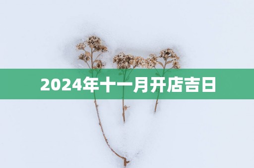 2025年十一月开店吉日