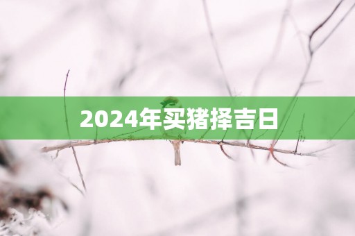 2025年买猪择吉日
