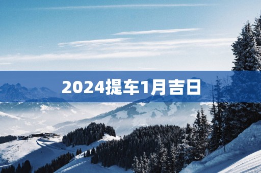 2025提车1月吉日