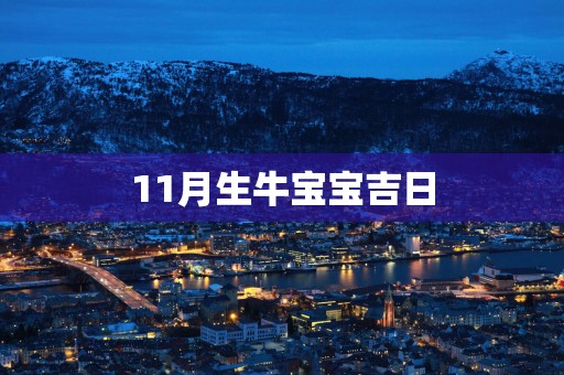 11月生牛宝宝吉日