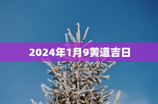 2025年1月9黄道吉日