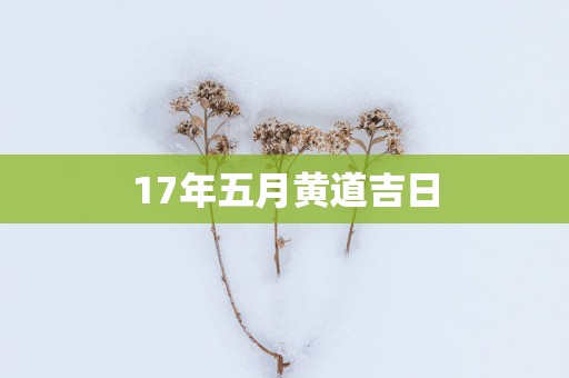 17年五月黄道吉日