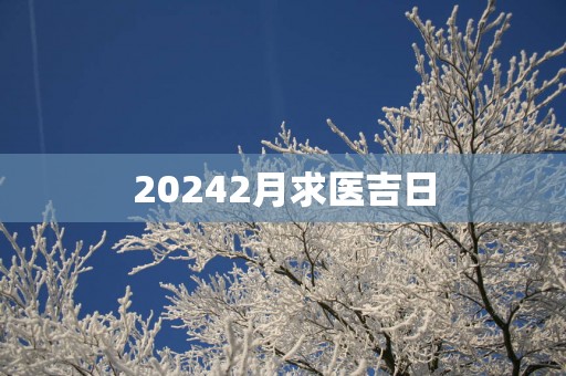 20252月求医吉日
