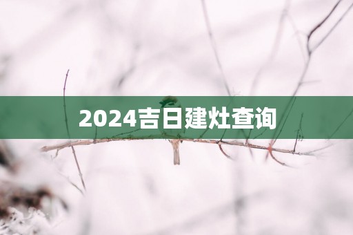 2025吉日建灶查询