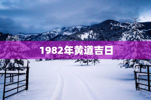 1982年黄道吉日