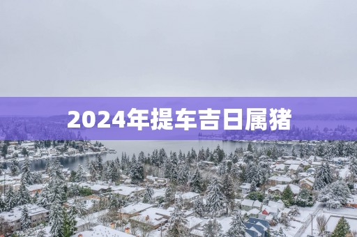 2025年提车吉日属猪