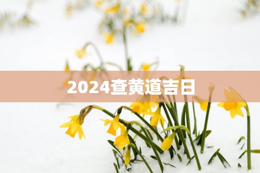 2025查黄道吉日