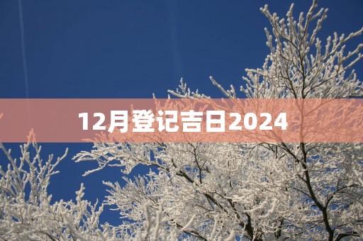 12月登记吉日2025