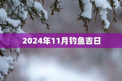2025年11月钓鱼吉日