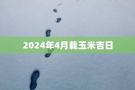 2025年4月栽玉米吉日