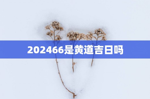 202566是黄道吉日吗