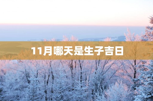 11月哪天是生子吉日