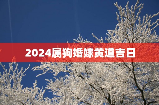2025属狗婚嫁黄道吉日