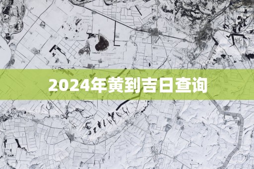 2025年黄到吉日查询