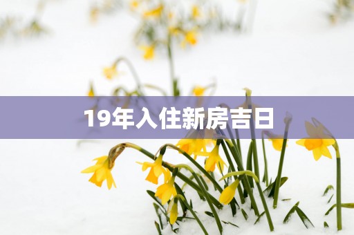 19年入住新房吉日