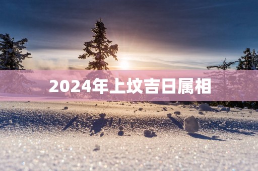 2025年上坟吉日属相