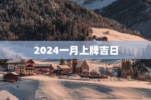 2025一月上牌吉日