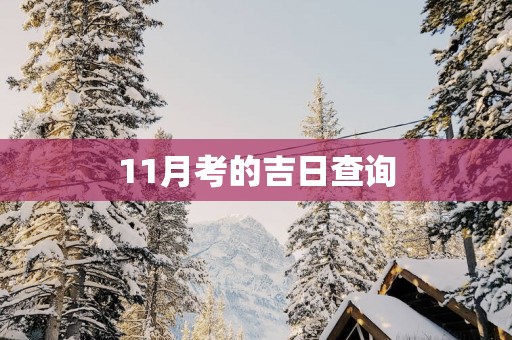 11月考的吉日查询