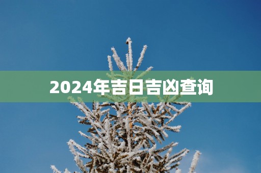 2025年吉日吉凶查询