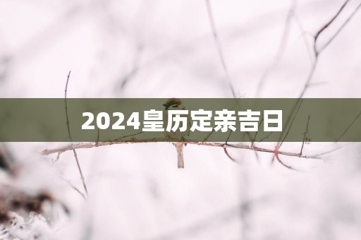 2025皇历定亲吉日