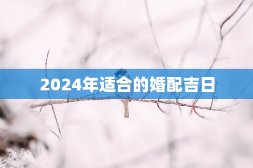 2025年适合的婚配吉日