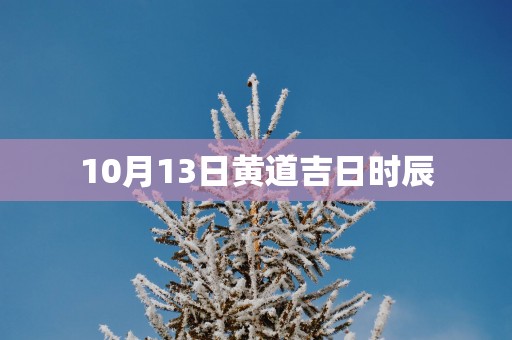 10月13日黄道吉日时辰