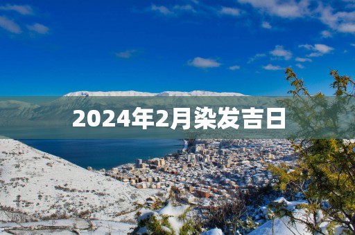 2025年2月染发吉日