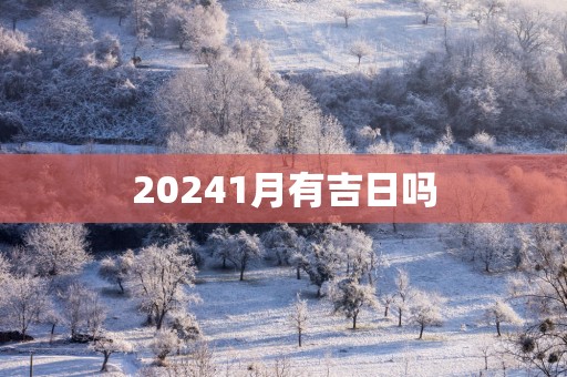 20251月有吉日吗