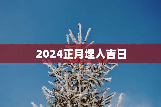 2025正月埋人吉日