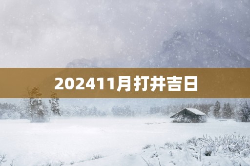 202511月打井吉日