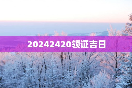 20252420领证吉日