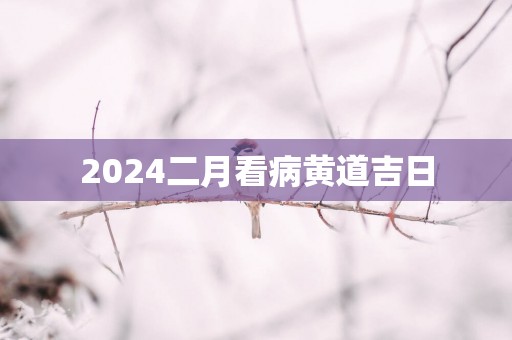 2025二月看病黄道吉日