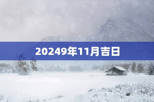 20259年11月吉日