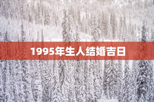 1995年生人结婚吉日