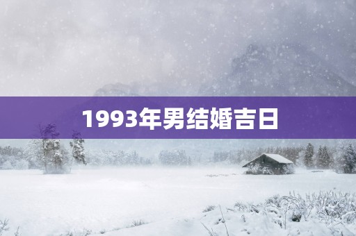 1993年男结婚吉日