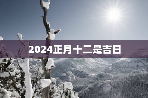 2025正月十二是吉日