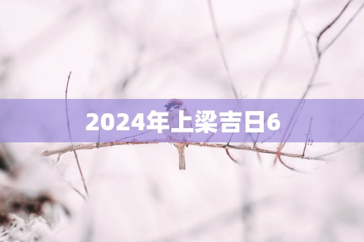 2025年上梁吉日6