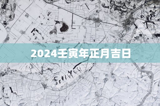 2025壬寅年正月吉日