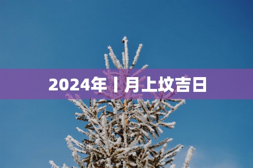 2025年丨月上坟吉日