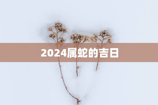 2025属蛇的吉日