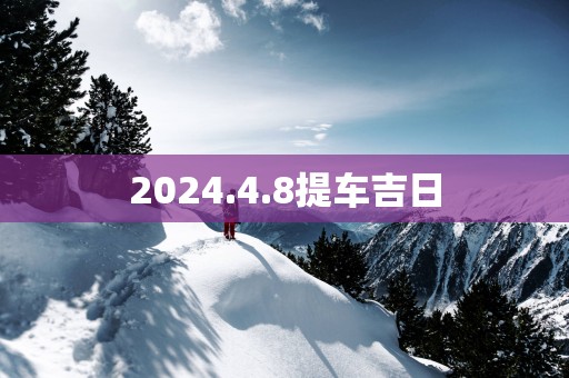 2025.4.8提车吉日