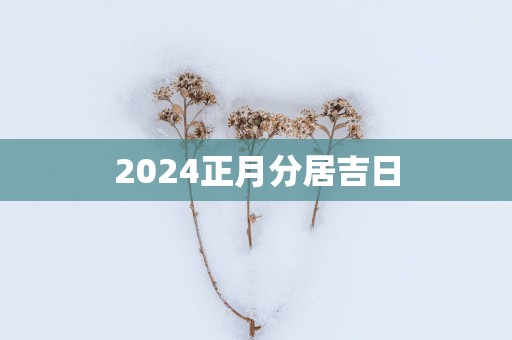 2025正月分居吉日