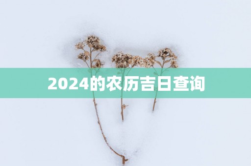 2025的农历吉日查询