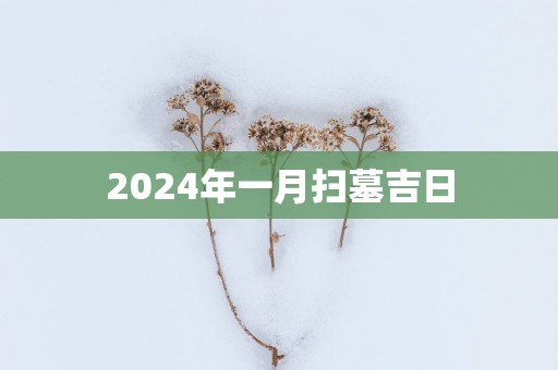 2025年一月扫墓吉日