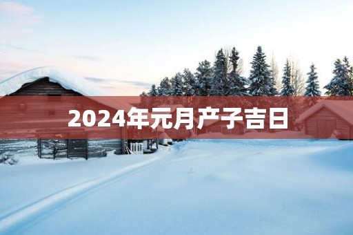 2025年元月产子吉日