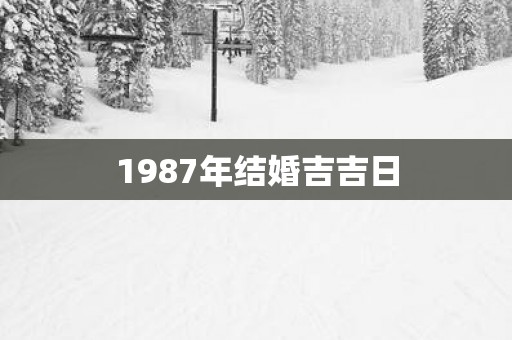 1987年结婚吉吉日
