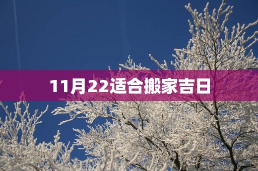 11月22适合搬家吉日